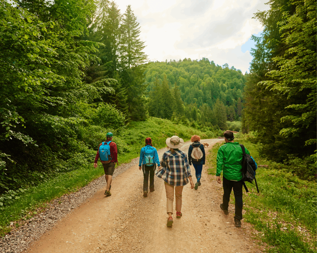 Photo taken from behind a group of people dressed in hiking clothes walking down a wide dirt path surrounded by green grass and tall evergreen trees.