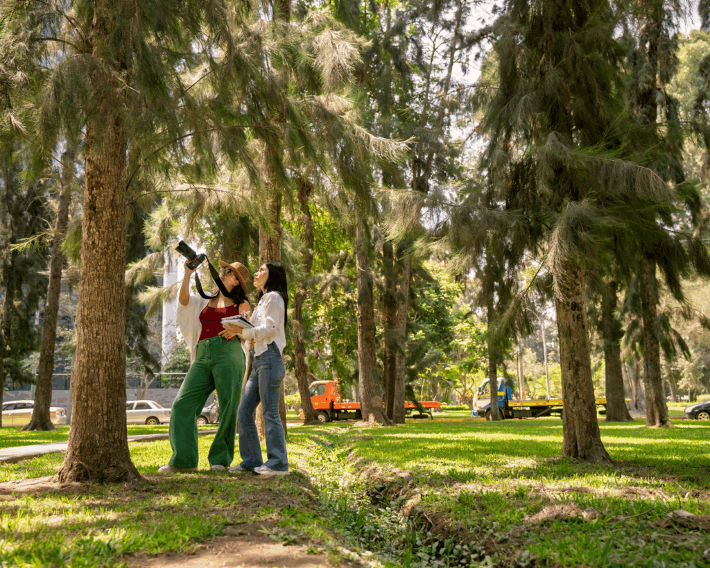 Photo of two college-aged women with cameras in a tree-filled meadow flooded with bright yellow sunlight.