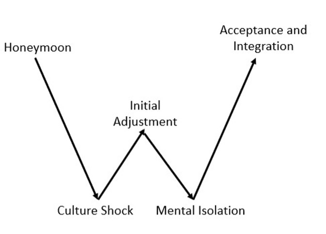 Graphic representation of the W Curve applied to online learning.